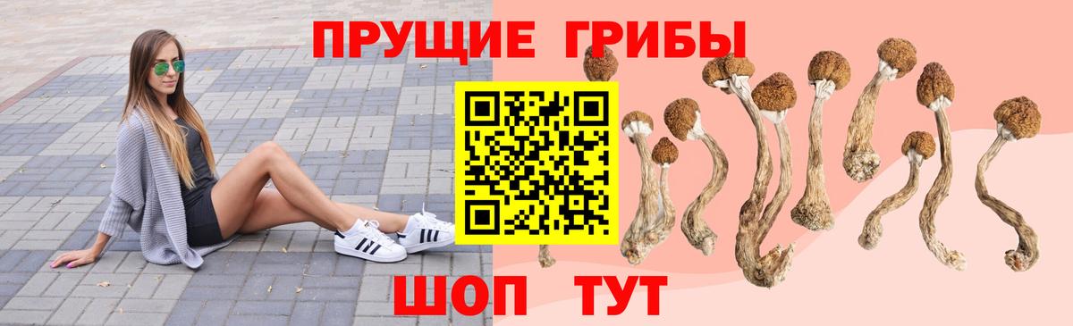 Галлюциногенные грибы Cubensis  Вход с VPN  Малгобек 